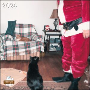 Oliver (ginger and white tabby cat) in "loaf" posture on a chair covered with a red, white, and green plaid blanket. Black cat Gus sitting on the floor in front of him. Santa's body on the right with the cats looking up at him.