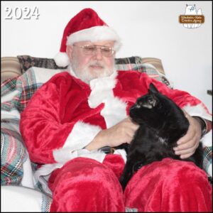 Santa in a chair with black cat Gus on his left leg.