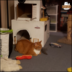 orange tabby with white bib and mittens, Oliver Winchester, lying down next to his scratching post and multi level cardboard office. cat toys scattered all over.