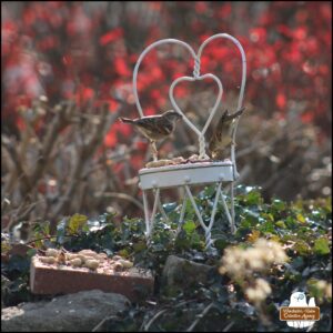 two house sparrows perched on a miniature white metal chair with peanuts and seeds on the seat. The chair is on top of an ivy-covered rock and brick wall.