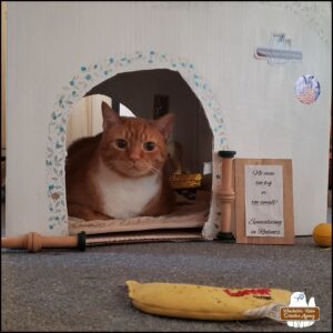 orange and white tabby Oliver in "loaf" position inside his cardboard office which is a painted two-level cat house decorated inside and out. There's a sign on the outside: No case too big or too small! Specializing in Rodents.