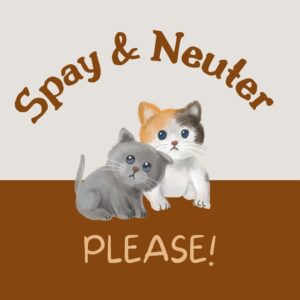 two Canva illustrated kittens (no AI) text: Spay & Neuter Please! (color tones of brown and grey)