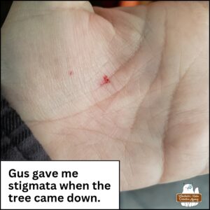 Amber's palm with a blood spot. "Gus gave me stigmata when the tree came down."