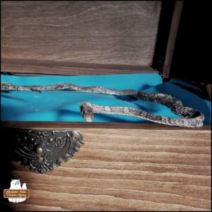 dehydrated garter snake in a circular position, laid on top of a silicone mat inside a wooden chest.