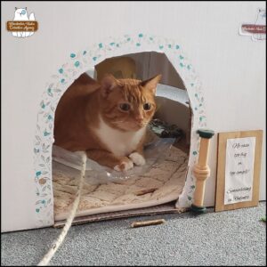 Oliver in his cardboard office where he's lying on top of the plastic bagged painting he made with a piece of yarn next to his front arm